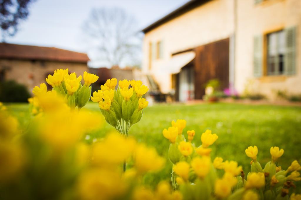 Aux Ronzieres Bed & Breakfast Pouilly-sous-Charlieu Bilik gambar