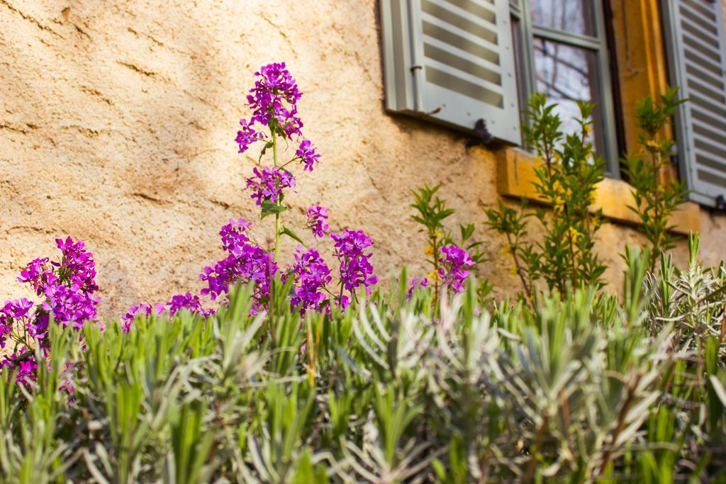 Aux Ronzieres Bed & Breakfast Pouilly-sous-Charlieu Bilik gambar
